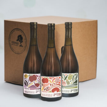 ארגז סנדרייה במגוון סוגים - 9 יח׳ | 750 מ"ל